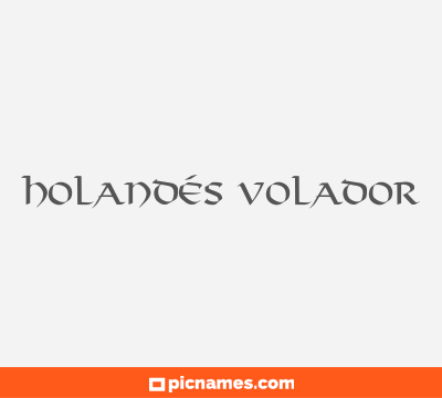 Holandés Volador